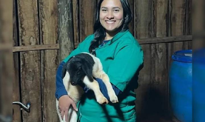 Estudante de medicina veterinária morre atropelada na BR-369