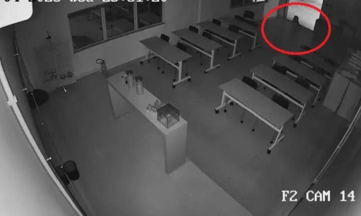 Força-tarefa faz buscas por onça-pintada no PR após novo vídeo
