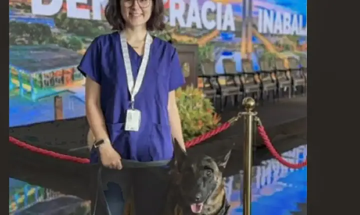 Morre veterinária atacada por cachorro no canil do Senado Federal 