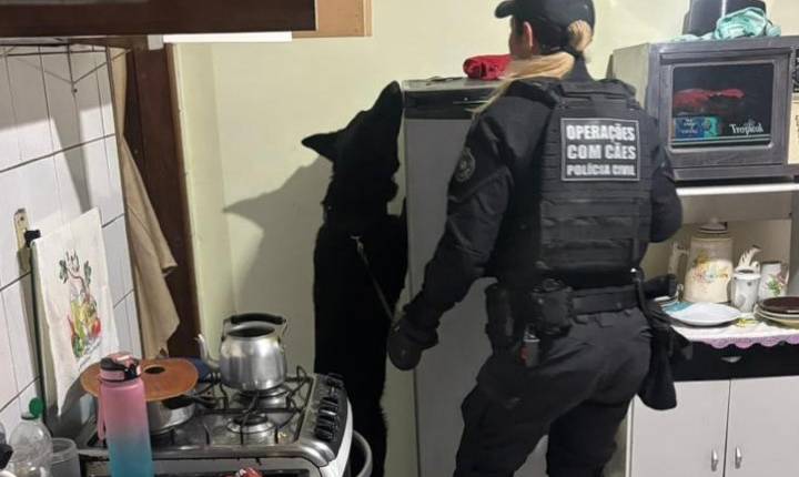 Operação prende 21 suspeitos de integrar organização criminosa no Paraná, SP e SC