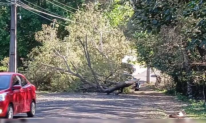 Paraná registra ventos acima de 70 km/h e segue sob alerta de vendaval até segunda-feira