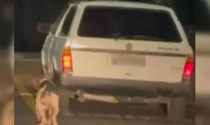 Polícia prende homem flagrado arrastando cachorro por corda