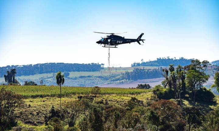 PRF realiza semeadura aérea de 18 toneladas de sementes de palmeira-juçara no Paraná