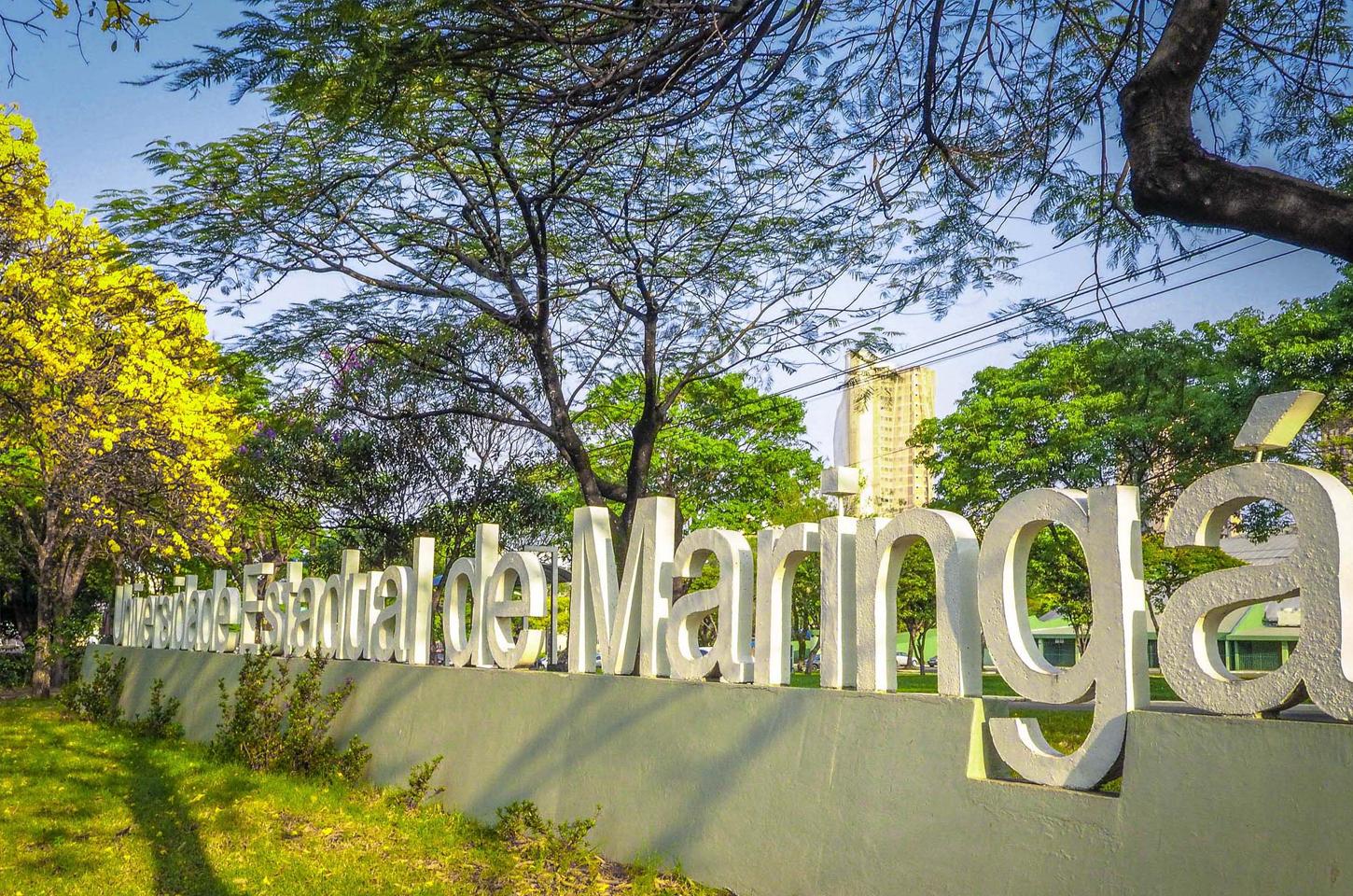 Estado nomeia mais 21 docentes para a Universidade Estadual de Maringá