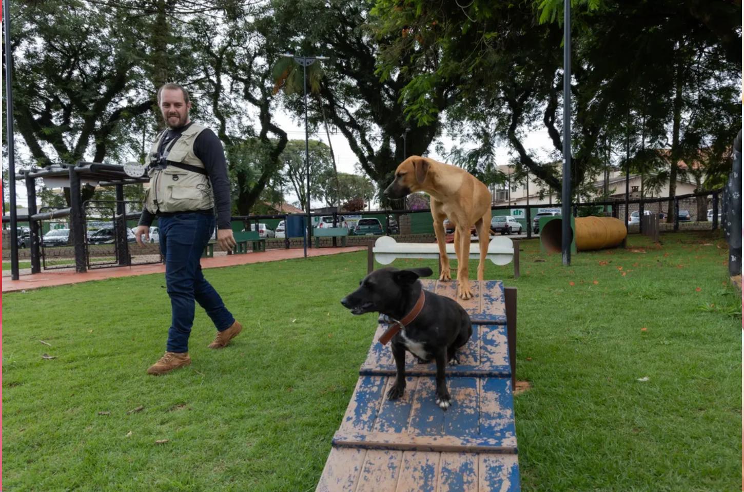 Centro de Saúde Animal alerta sobre responsabilidades de tutores de cães e gatos