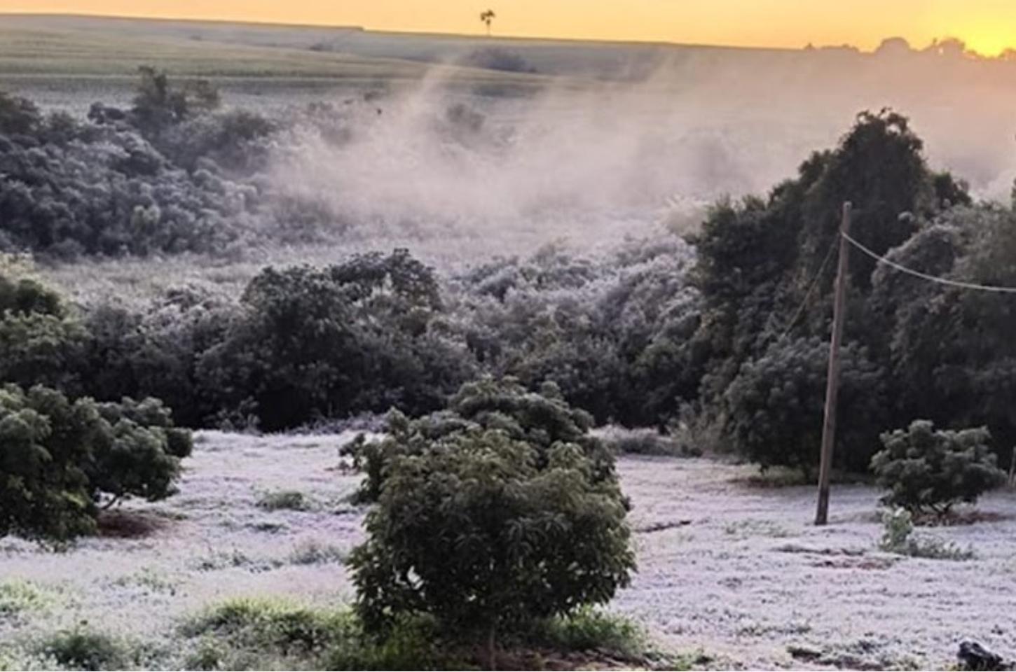 Frio intenso marca a quarta-feira no Paraná, mas temperaturas começam a subir a partir de quinta