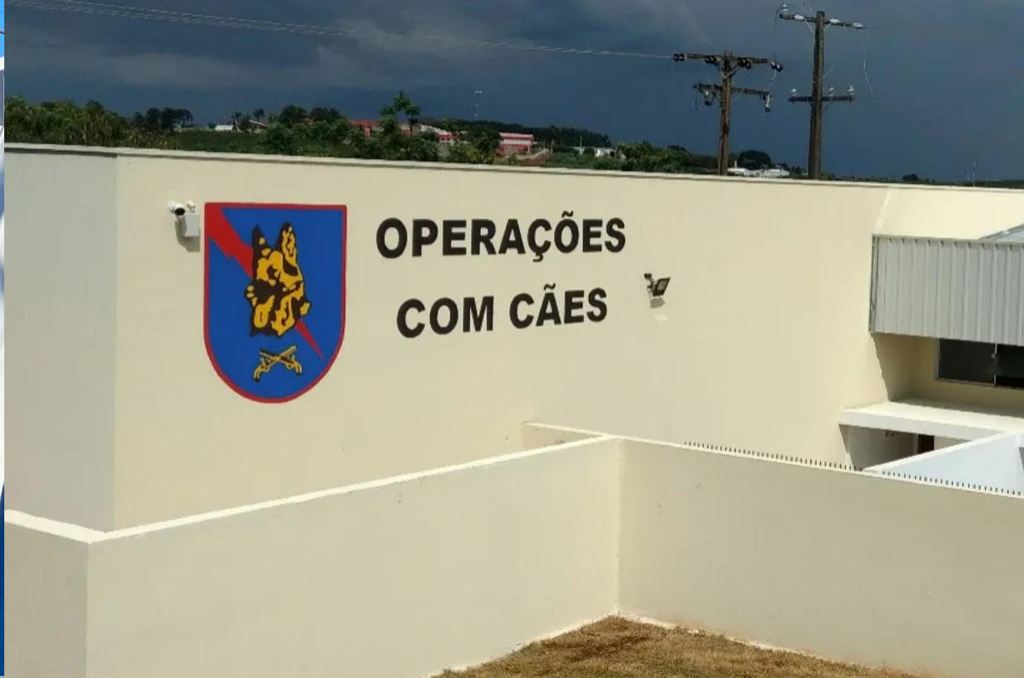 Jovem é encaminhado após cães da PM acharem droga na Vila Regina