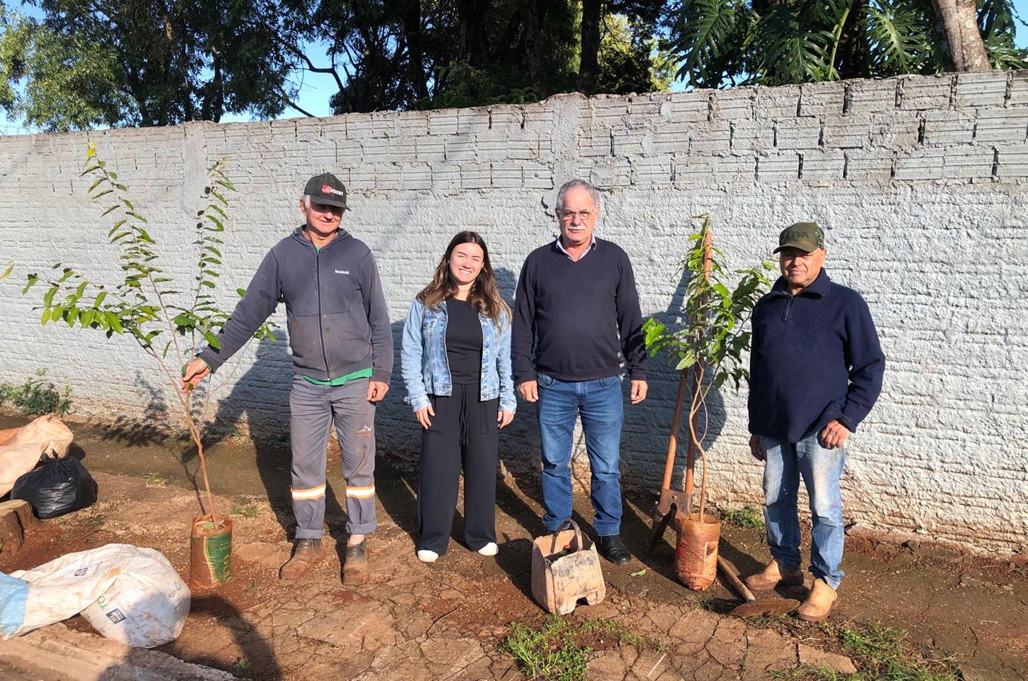 Prefeitura Municipal inicia novo plantio de árvores pela cidade