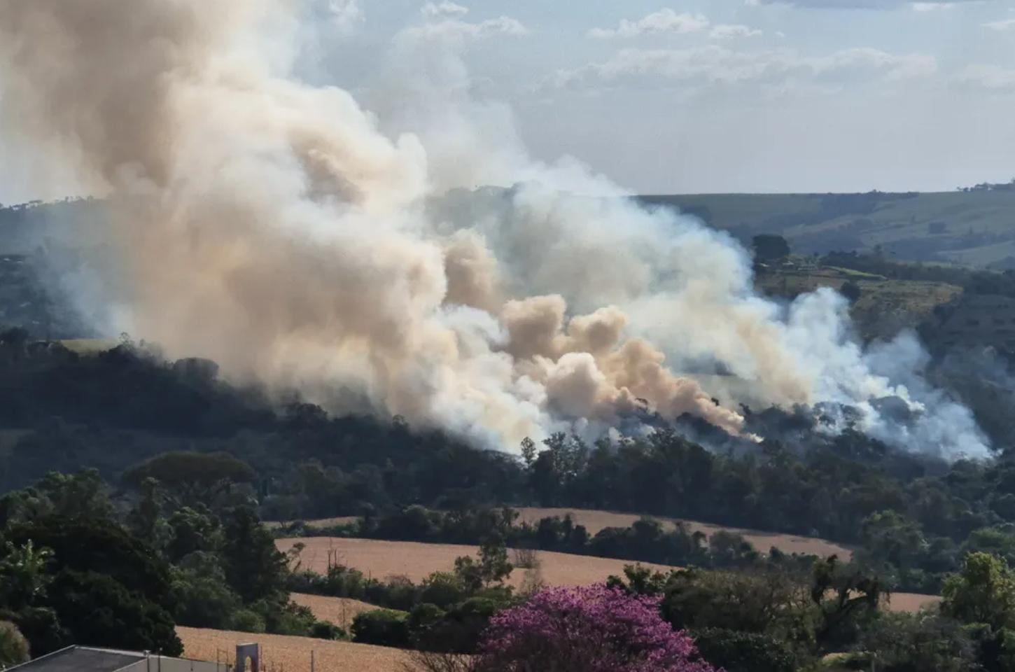 Bombeiros controlam incêndio que atingiu área de mata em Apucarana