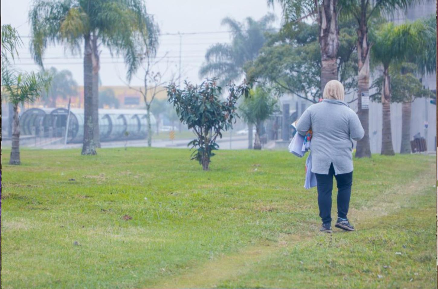Julho começa com temperaturas negativas no Paraná, registra o Simepar