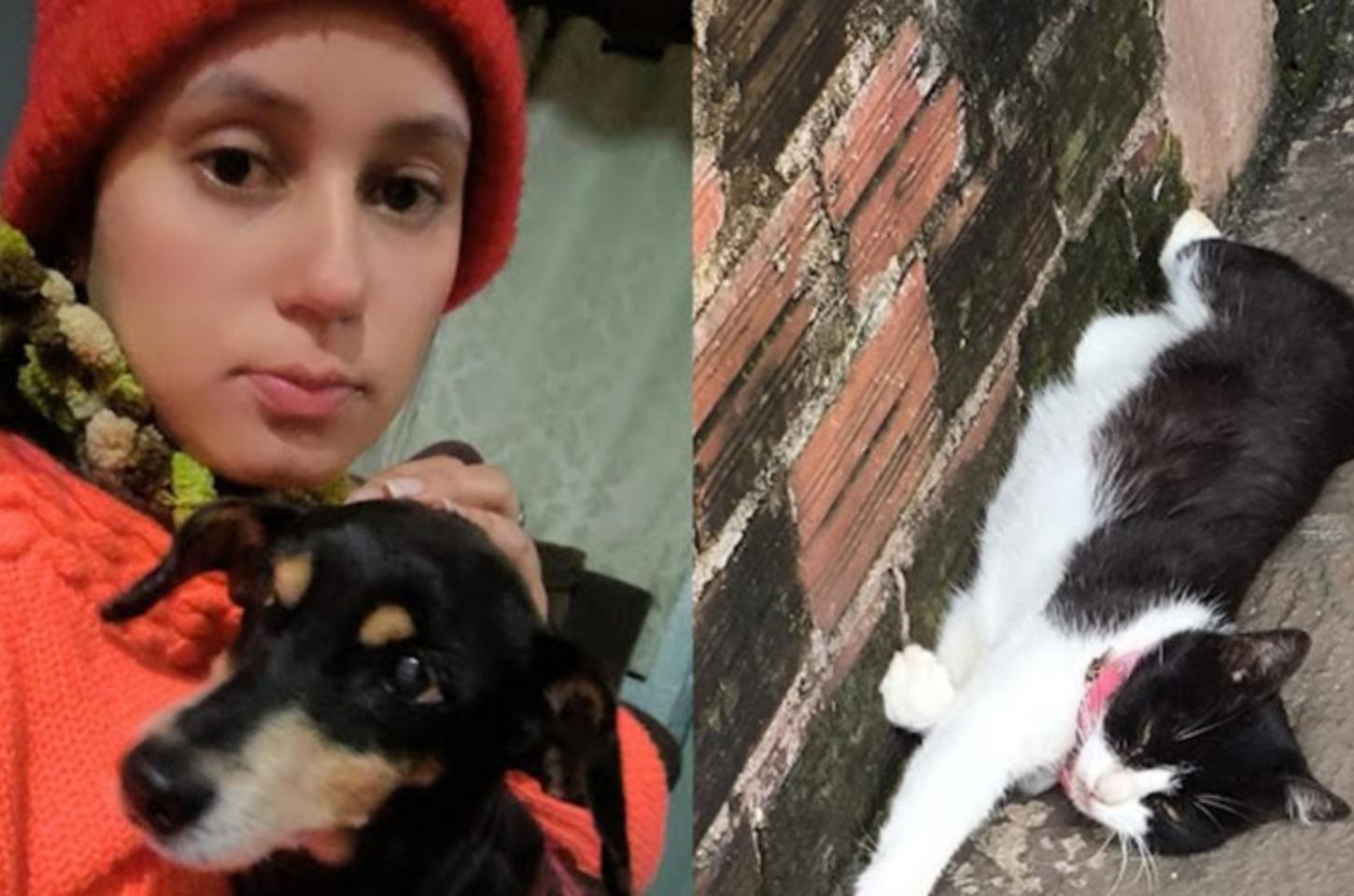 Moradora de Borrazópolis denuncia atropelamento e morte de cachorrinha e alerta para maus-tratos a animais na cidade