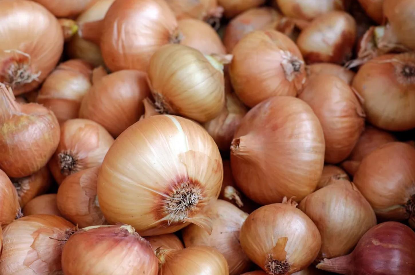 Substância presente na cebola pode ser aliada da saúde cardiovascular