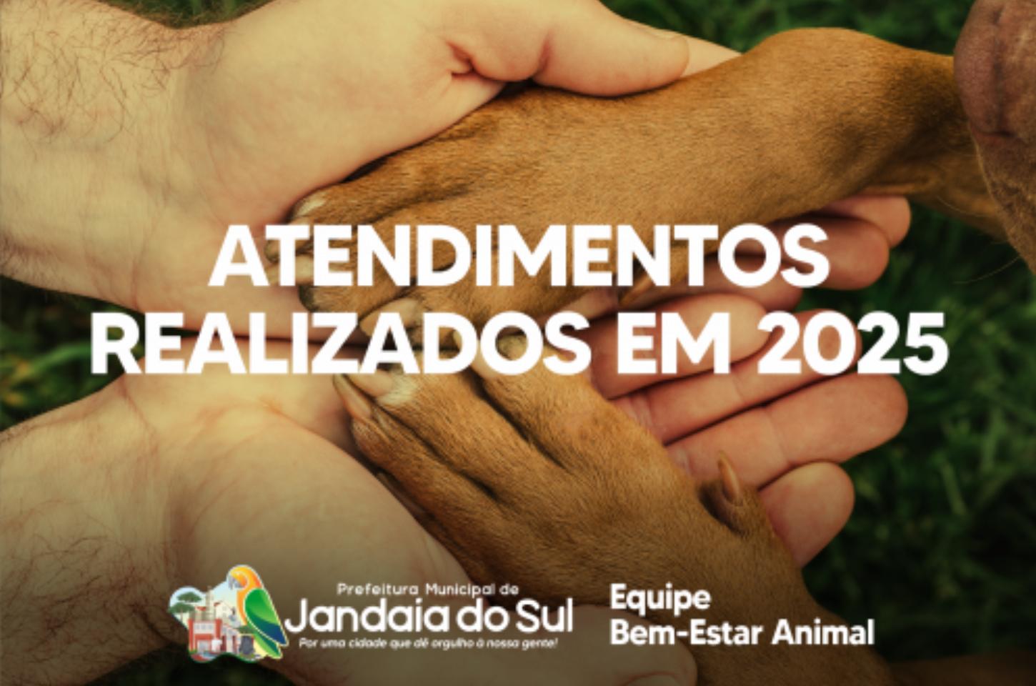 Jandaia do Sul intensifica ações de proteção e cuidado com os animais em 2025