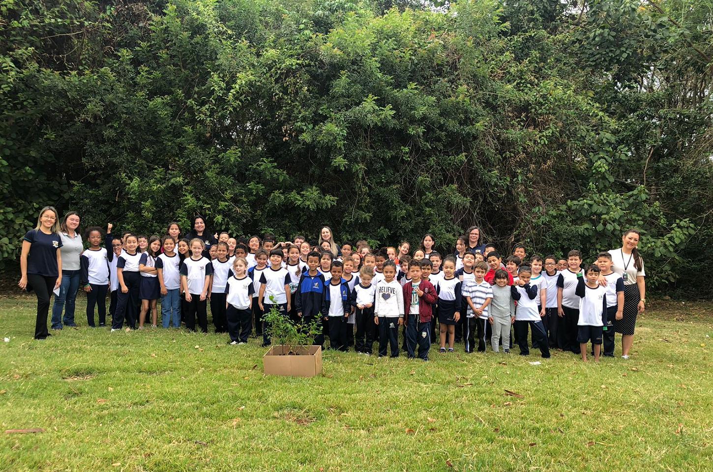 Prefeitura Municipal de Jandaia do Sul e Departamento de Educação, promoveu uma ação de plantio de mudas