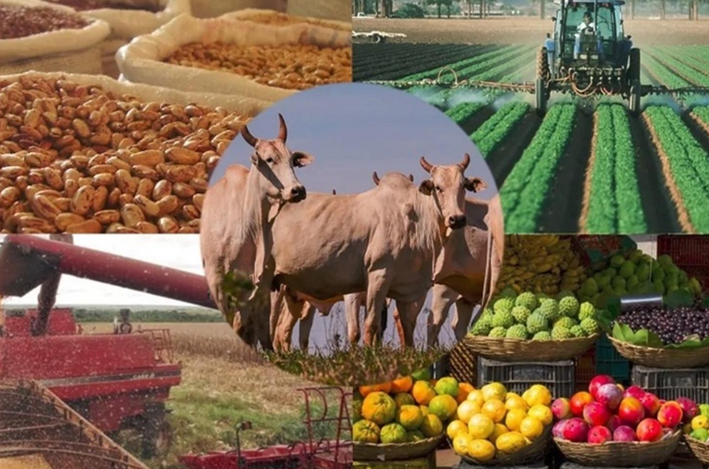 Estiagem e tarifas afetam exportações do agro gaúcho