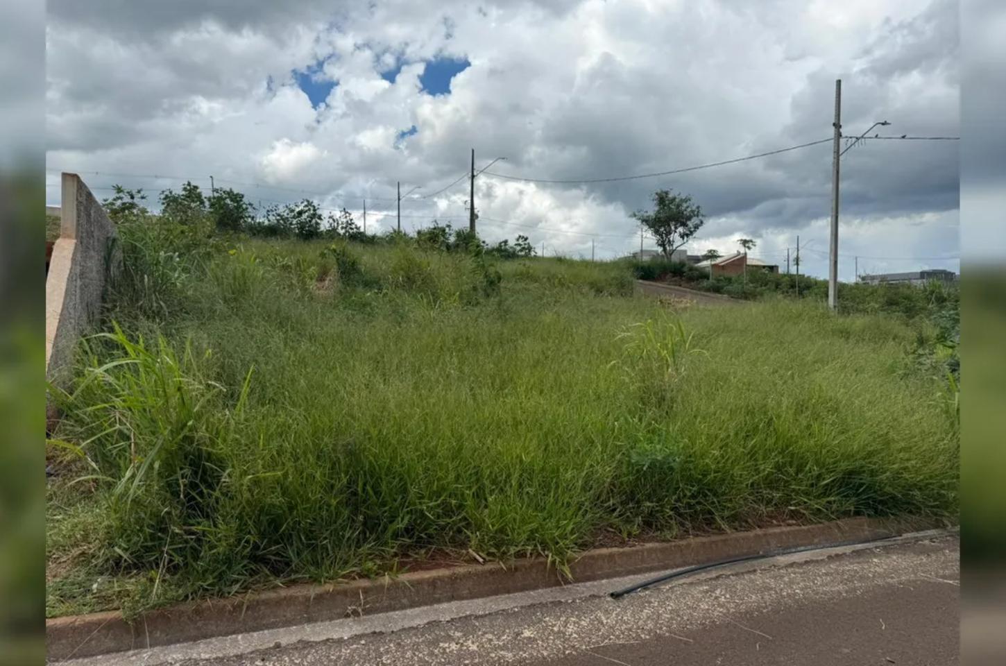 Prefeitura de Cambira notifica proprietários para limpeza de 82 terrenos