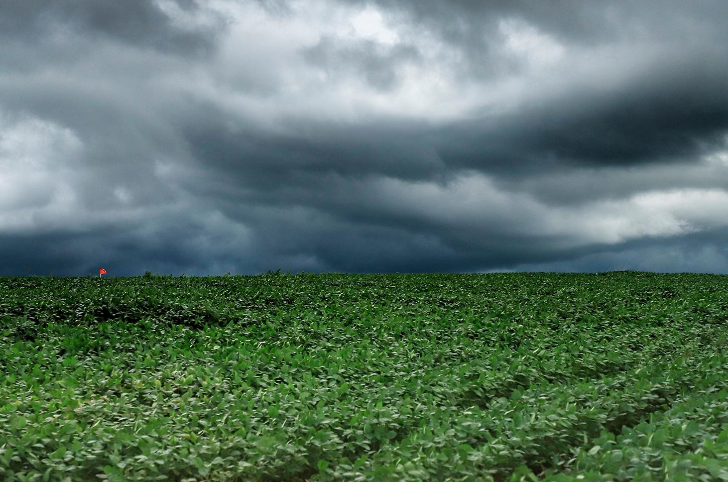 Tempestades atingem Campos Gerais e Norte do Paraná e seguem em direção ao Leste