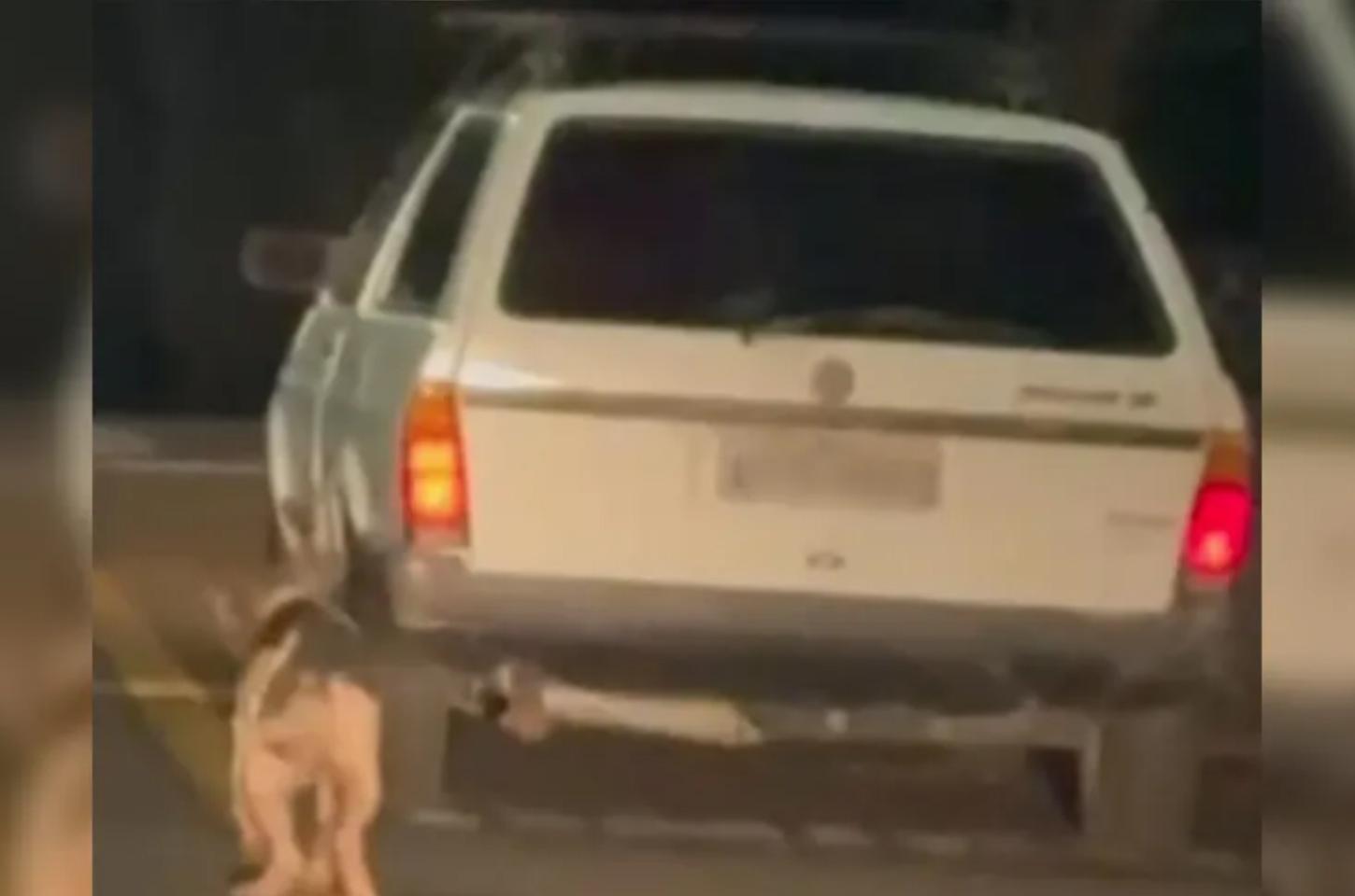 Polícia prende homem flagrado arrastando cachorro por corda