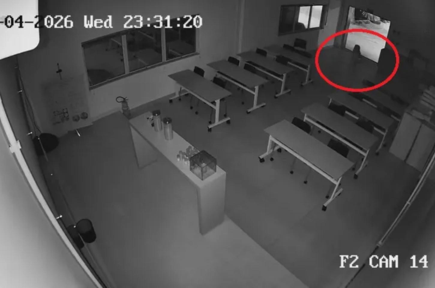 Força-tarefa faz buscas por onça-pintada no PR após novo vídeo