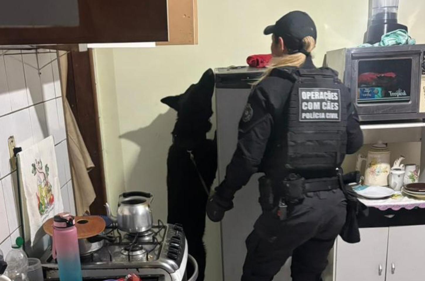 Operação prende 21 suspeitos de integrar organização criminosa no Paraná, SP e SC