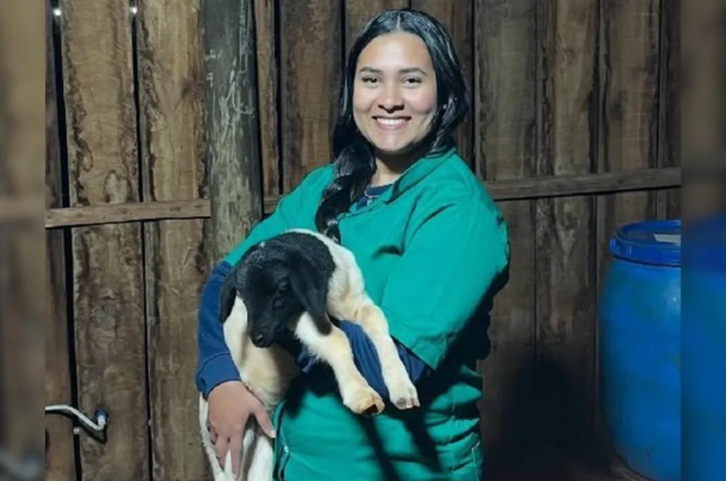Estudante de medicina veterinária morre atropelada na BR-369