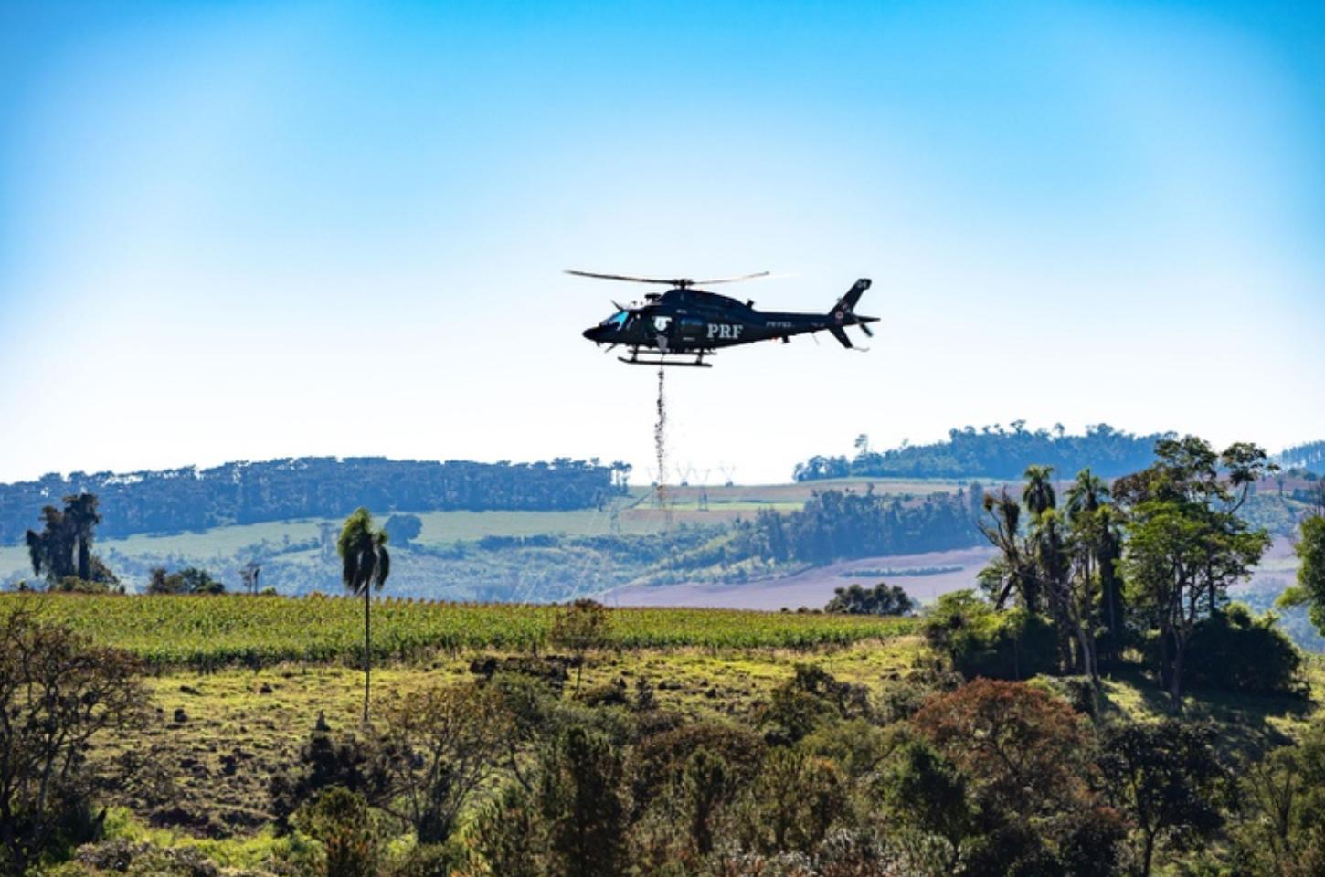 PRF realiza semeadura aérea de 18 toneladas de sementes de palmeira-juçara no Paraná