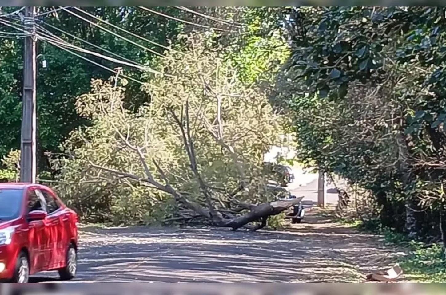 Paraná registra ventos acima de 70 km/h e segue sob alerta de vendaval até segunda-feira