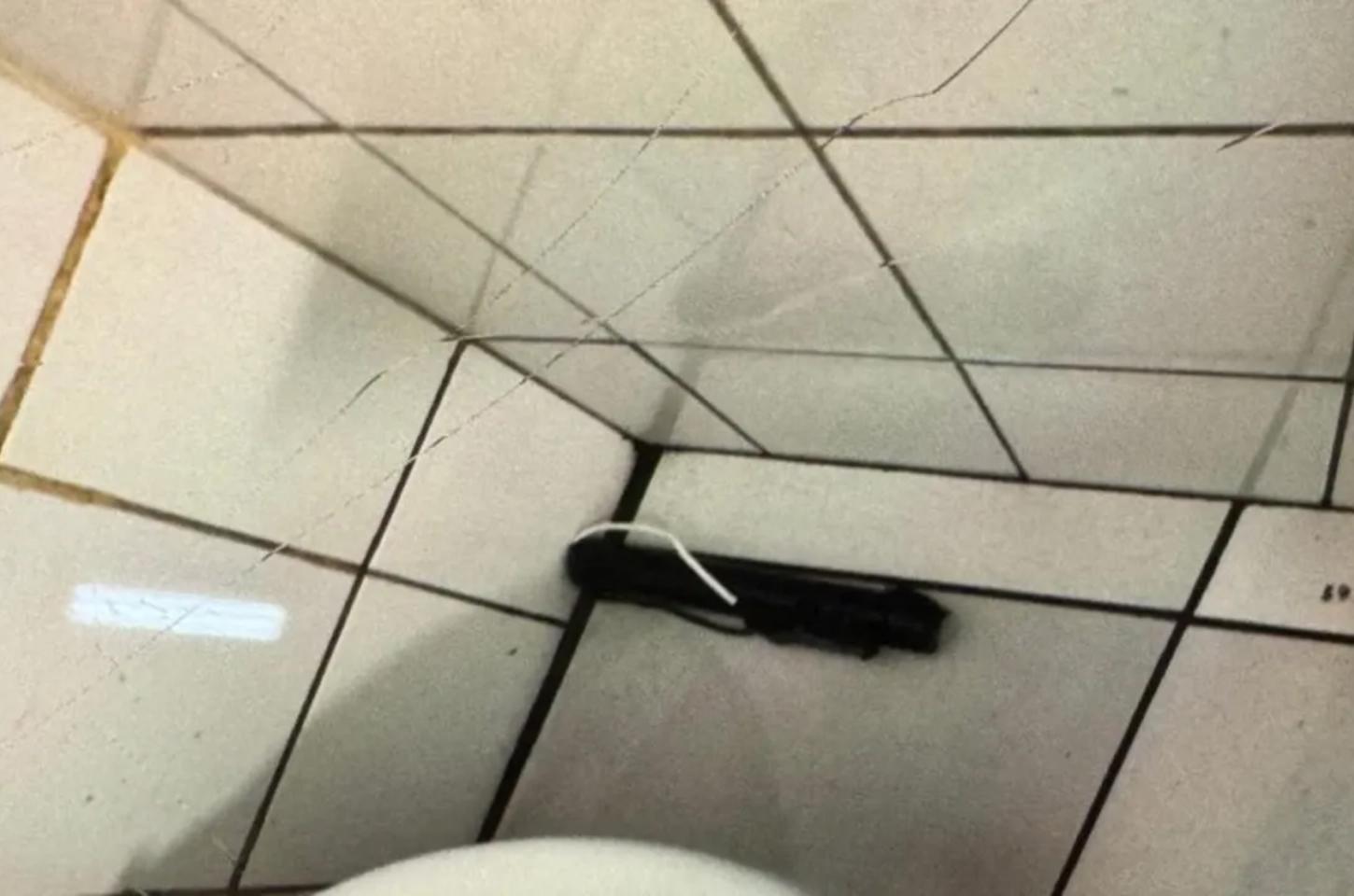 Suspeita de bomba mobiliza Esquadrão Antibombas e interdita parcialmente terminal em Curitiba