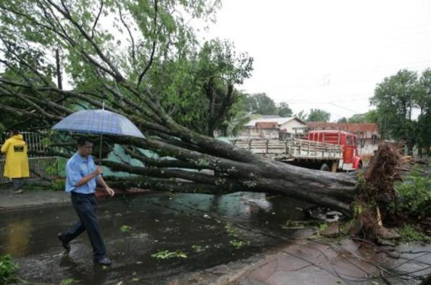 Temporal provoca estragos e deixa cidades do Vale do Ivaí em alerta